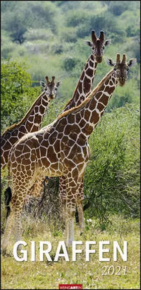 Weingarten |  Giraffen - Kalender 2021 | Sonstiges |  Sack Fachmedien