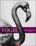 Natzeck / Weingarten |  Vogel Illustrationen Kalender 2021 | Sonstiges |  Sack Fachmedien