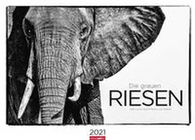 Hubert / Klein |  Die grauen Riesen Kalender 2021 | Sonstiges |  Sack Fachmedien