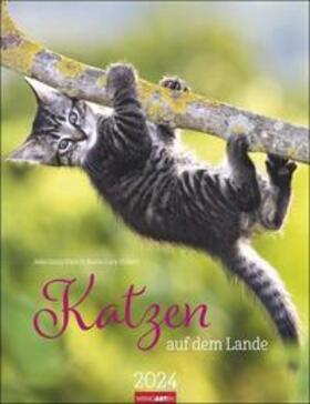  Katzen auf dem Lande Kalender 2024. Süße Kätzchen in ländlicher Idylle: Ein Foto-Kalender zum Dahinschmelzen. Planer mit Platz zum Eintragen. Hochformat 30x39 cm | Sonstiges |  Sack Fachmedien