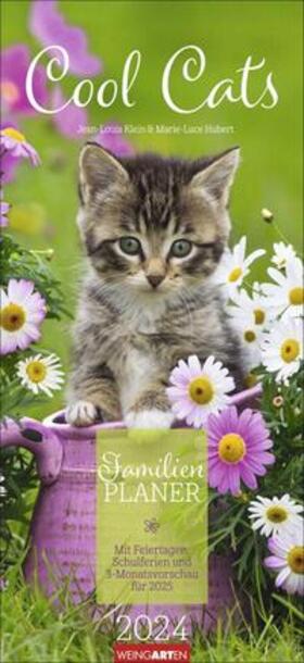  Cool Cats Familienplaner 2024. Großer Foto-Terminkalender mit 5 Spalten für Familien. Schöner Familien-Wandkalender 2024 mit süßen Katzen-Fotos. 22x48 cm | Sonstiges |  Sack Fachmedien