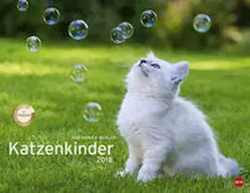Wegler |  Katzenkinder Posterkalender - Kalender 2018 | Sonstiges |  Sack Fachmedien