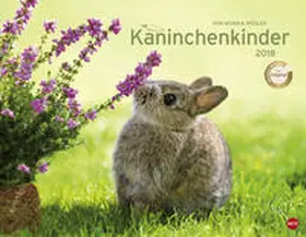 Wegler |  Kaninchenkinder Posterkalender - Kalender 2018 | Sonstiges |  Sack Fachmedien