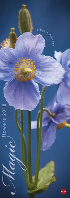 Pietrek |  Magic Flowers Vertical - Kalender 2018 | Sonstiges |  Sack Fachmedien