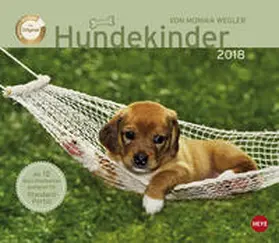 Wegler |  Wegler Hundekinder Maxi Postkartenkalender - Kalender 2018 | Sonstiges |  Sack Fachmedien