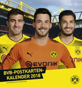 Borussia Dortmund Postkartenkalender - Kalender 2018 | Sonstiges | 978-3-8401-5155-2 | www.sack.de