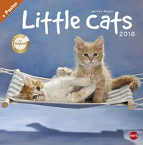 Wegler |  Wegler Little Cats Broschurkalender - Kalender 2018 | Sonstiges |  Sack Fachmedien
