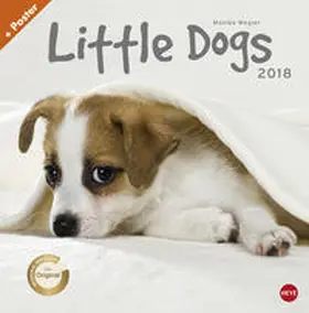 Wegler |  Wegler Little Dogs Broschurkalender - Kalender 2018 | Sonstiges |  Sack Fachmedien