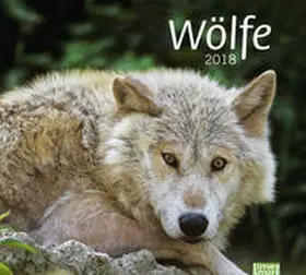 times&more Wölfe Bildkalender - Kalender 2018 | Sonstiges | 978-3-8401-5575-8 | www.sack.de