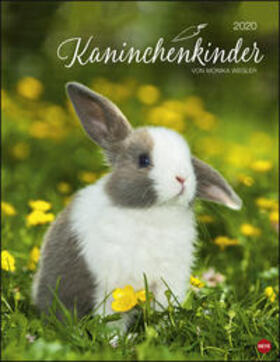  Kaninchenkinder Posterkalender 2020 | Sonstiges |  Sack Fachmedien