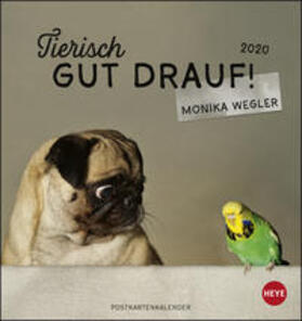  Tierisch gut drauf  2020 Postkartenkalender | Sonstiges |  Sack Fachmedien