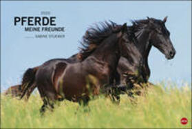  Pferde. Meine Freunde 2020 | Sonstiges |  Sack Fachmedien