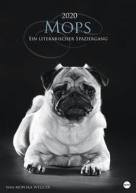  Mops - Ein literarischer Spaziergang 2020 | Sonstiges |  Sack Fachmedien