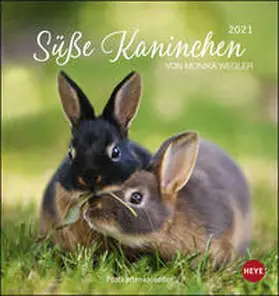  Süße Kaninchen 2021. Postkartenkalender | Sonstiges |  Sack Fachmedien