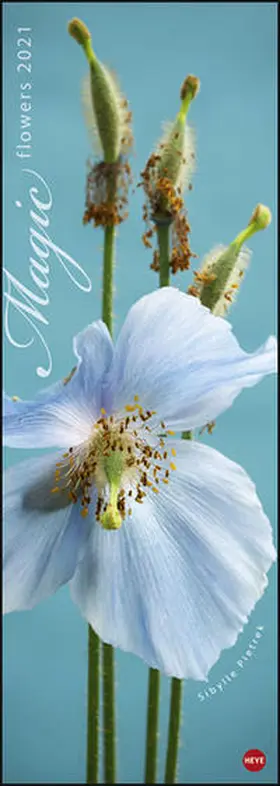 Heye / Pietrek |  Magic Flowers Vertical 2021 | Sonstiges |  Sack Fachmedien
