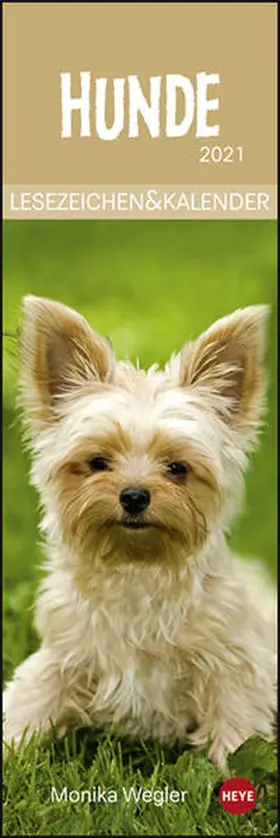  Hunde 2021 Lesezeichen & Kalender | Sonstiges |  Sack Fachmedien