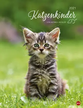  Katzenkinder Posterkalender 2021 | Sonstiges |  Sack Fachmedien
