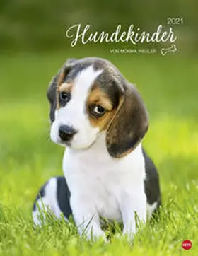  Hundekinder Posterkalender 2021 | Sonstiges |  Sack Fachmedien