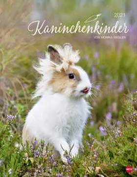  Kaninchenkinder Posterkalender 2021 | Sonstiges |  Sack Fachmedien