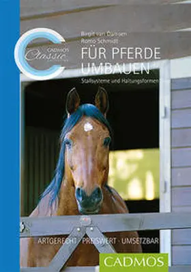 Van Damsen / Schmidt |  Für Pferde umbauen | Buch |  Sack Fachmedien
