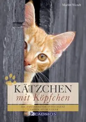 Wendt |  Kätzchen mit Köpfchen | Buch |  Sack Fachmedien
