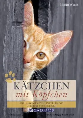 Wendt |  Kätzchen mit Köpfchen | eBook | Sack Fachmedien
