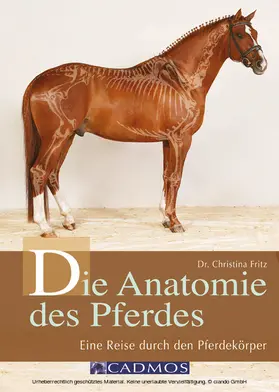 Fritz |  Die Anatomie des Pferdes | eBook | Sack Fachmedien