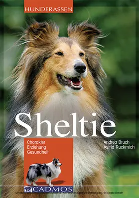 Bruch |  Sheltie | eBook | Sack Fachmedien