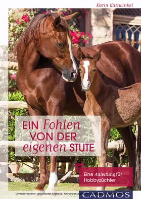 Kattwinkel |  Ein Fohlen von der eigenen Stute | eBook | Sack Fachmedien