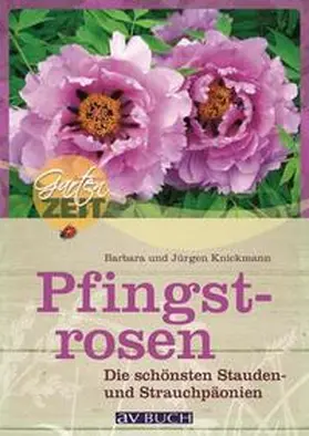 Knickmann |  Pfingstrosen | Buch |  Sack Fachmedien