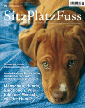  SitzPlatzFuss Ausgabe 6 | Buch |  Sack Fachmedien