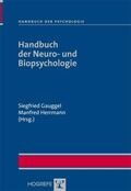 Gauggel / Herrmann |  Handbuch der Neuro- und Biopsychologie | eBook | Sack Fachmedien