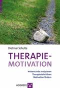 Schulte |  Therapiemotivation | eBook | Sack Fachmedien