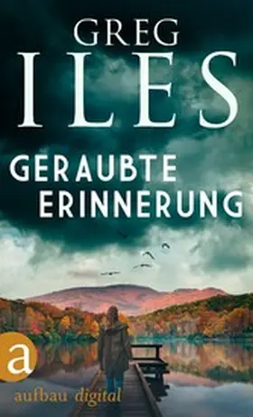 Iles |  Geraubte Erinnerung | eBook | Sack Fachmedien