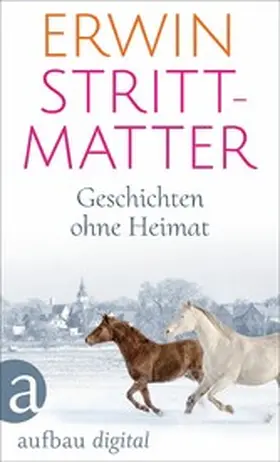 Strittmatter |  Geschichten ohne Heimat | eBook | Sack Fachmedien