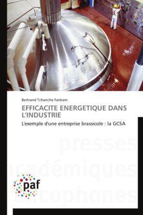 Tchanche Fankam |  Efficacité Energétique Dans L'industrie | Buch |  Sack Fachmedien