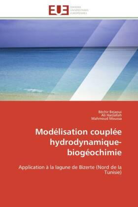 Bejaoui / Harzallah / Moussa |  Modélisation couplée hydrodynamique-biogéochimie | Buch |  Sack Fachmedien