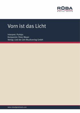 Meyer / Tilgner | Vorn ist das Licht | E-Book | sack.de