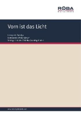 Meyer / Tilgner | Vorn ist das Licht | E-Book | sack.de