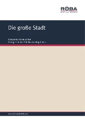 Nier / Schüller |  Die große Stadt | eBook | Sack Fachmedien