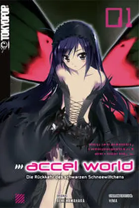 Kawahara / HIMA / Biipii |  Accel World - Novel 01 | Buch |  Sack Fachmedien