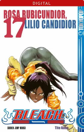 Kubo |  Bleach 17 | eBook | Sack Fachmedien