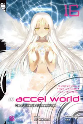 Kawahara / HIMA / Biipii |  Accel World - Novel 16 | Buch |  Sack Fachmedien