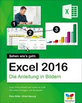 Bilke / Sprung |  Excel 2016 | eBook | Sack Fachmedien