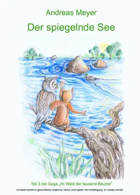 Meyer |  Der spiegelnde See | eBook | Sack Fachmedien