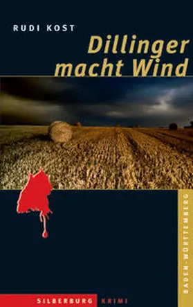 Kost | Dillinger macht Wind | Buch | 978-3-8425-1319-8 | www.sack.de