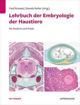 Sinowatz / Rodler |  Lehrbuch der Embryologie der Haustiere | Buch |  Sack Fachmedien