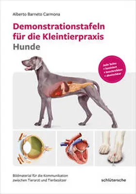 Berneto Carmona / Barneto Carmona |  Demonstrationstafeln für die Kleintierpraxis Hunde | Buch |  Sack Fachmedien