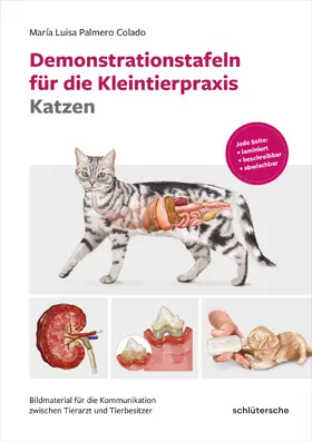 Palmero Colado |  Demonstrationstafeln für die Kleintierpraxis Katzen | Buch |  Sack Fachmedien