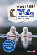Müller |  Workshop Wildtierfotografie vor der eigenen Haustür | eBook | Sack Fachmedien